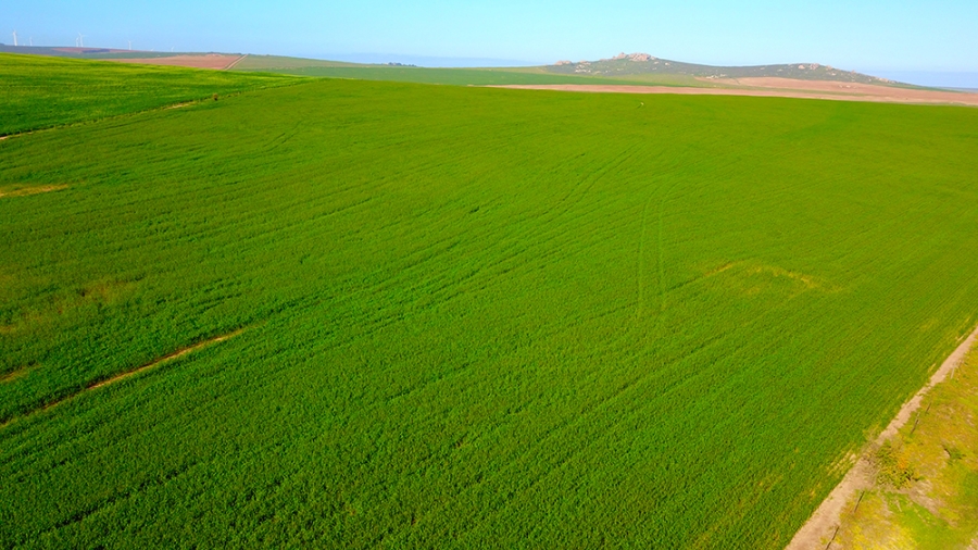 0 Bedroom Property for Sale in Vredenburg Rural Western Cape